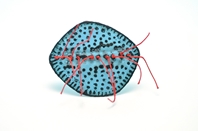 Blue dotty Brooch with red thread
