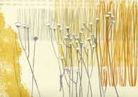 Inula magnifica in autumn border 2